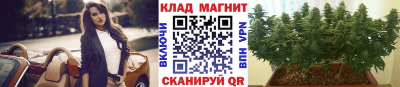 Где можно купить наркотики Новосибирск Кокаин  A PVP  Меф мяу мяу  АМФЕТАМИН  Бошки Шишки  Гашиш 