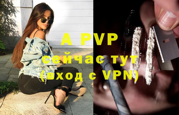 mdpv Белокуриха