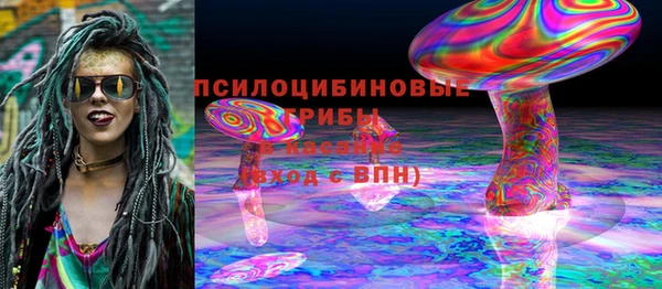 mdpv Белокуриха