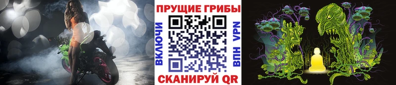 Псилоцибиновые грибы Psilocybine cubensis  купить наркотик  Новосибирск 